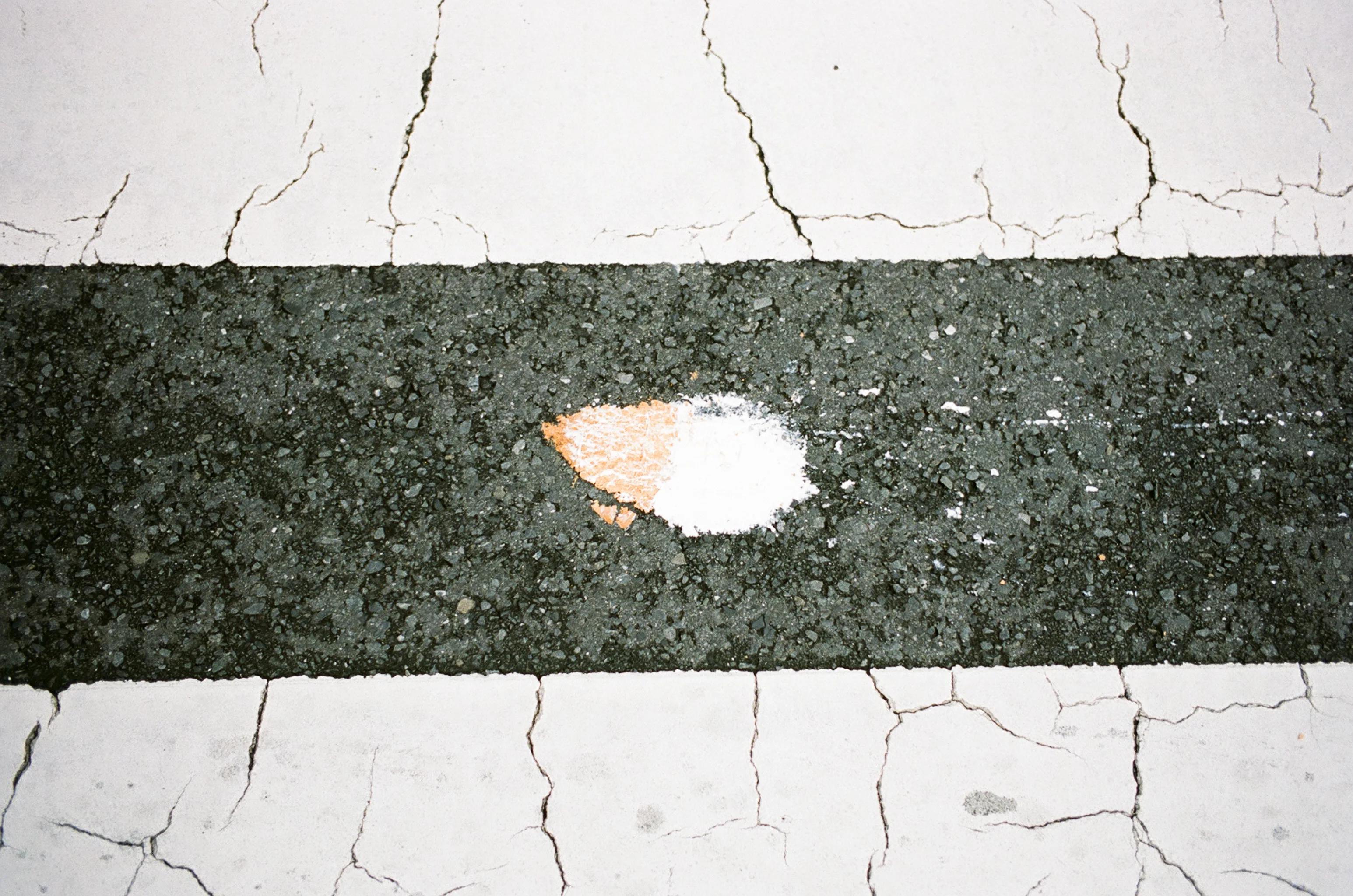 Snitch food