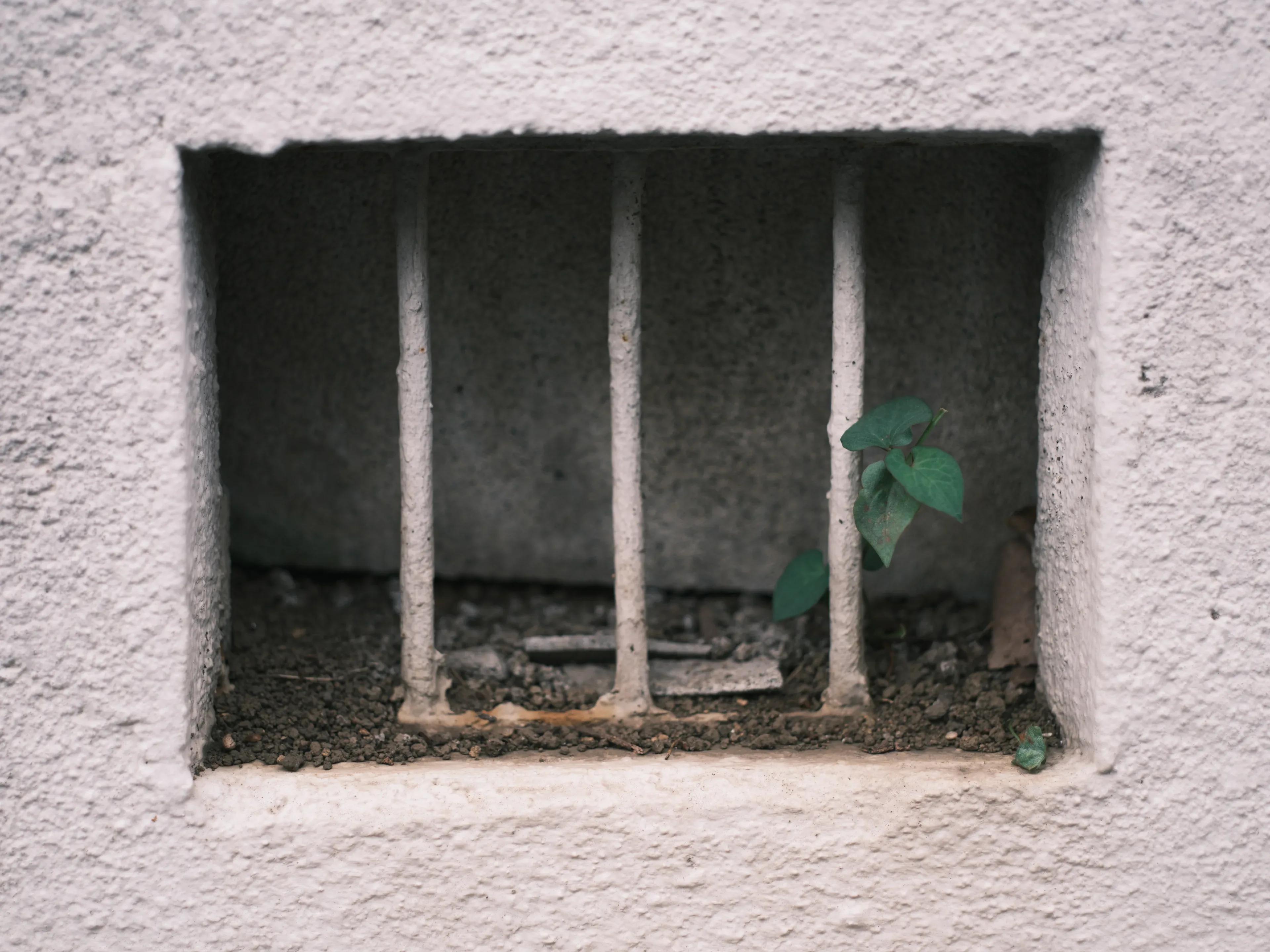 日々の欠片 - ギャラリー画像