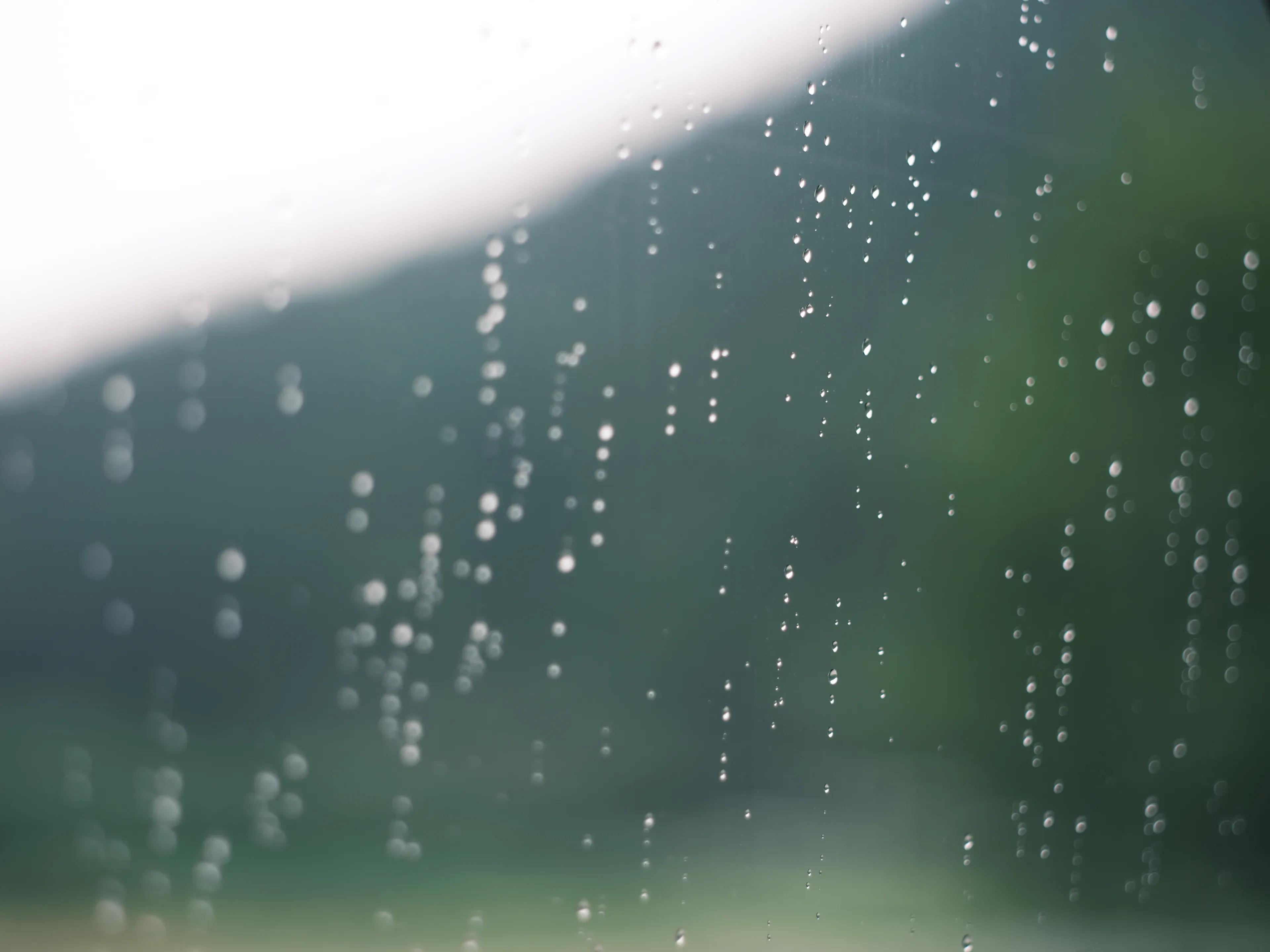 日々の欠片 - ギャラリー画像